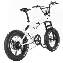 New Style 48V 500W Electric Bicycle 20inch Foldable Fat Electric Bike